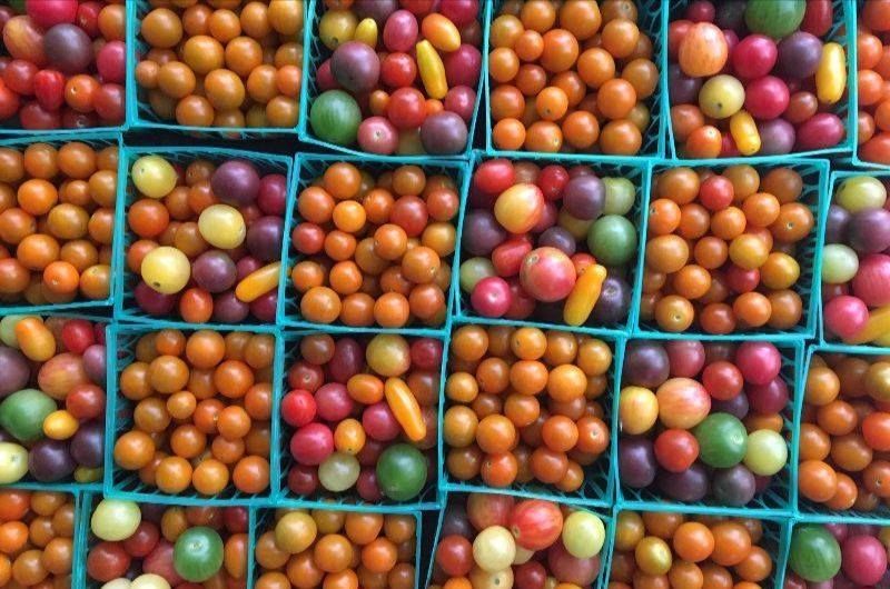 tomatos on the market