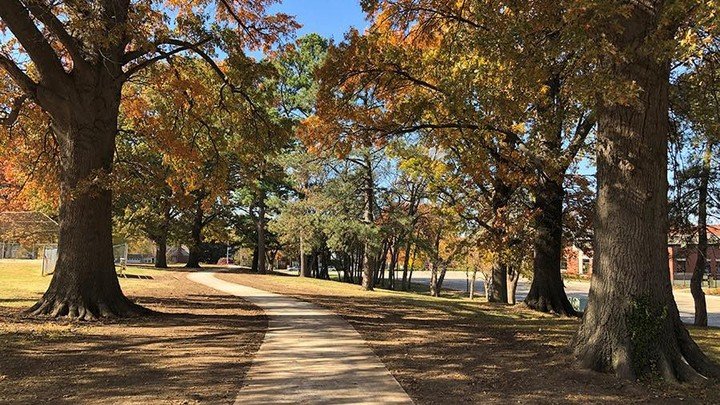 The trail at the Loose Park, Kansas City
