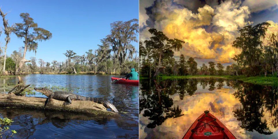 kayak swamp tour in New Orleans