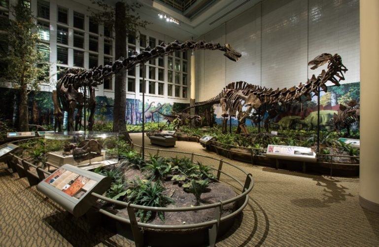 Exhibit at the Carnegie Museum of Natural History, Pittsburgh