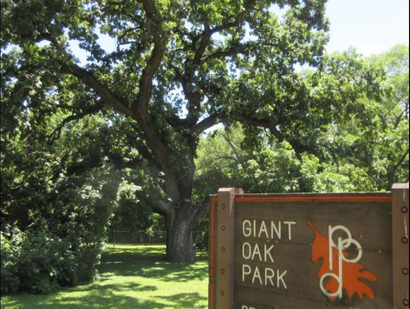 peoria giant oak park